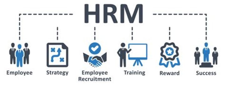 How is HRM related to other functions of a business?