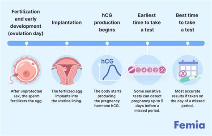 How long does it typically take to get pregnant?