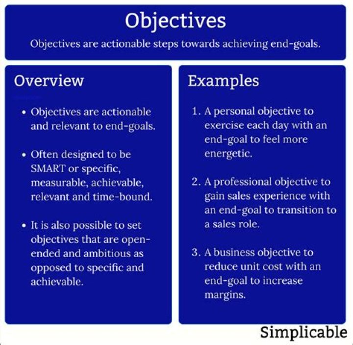 What are the objectives of an auditor?
