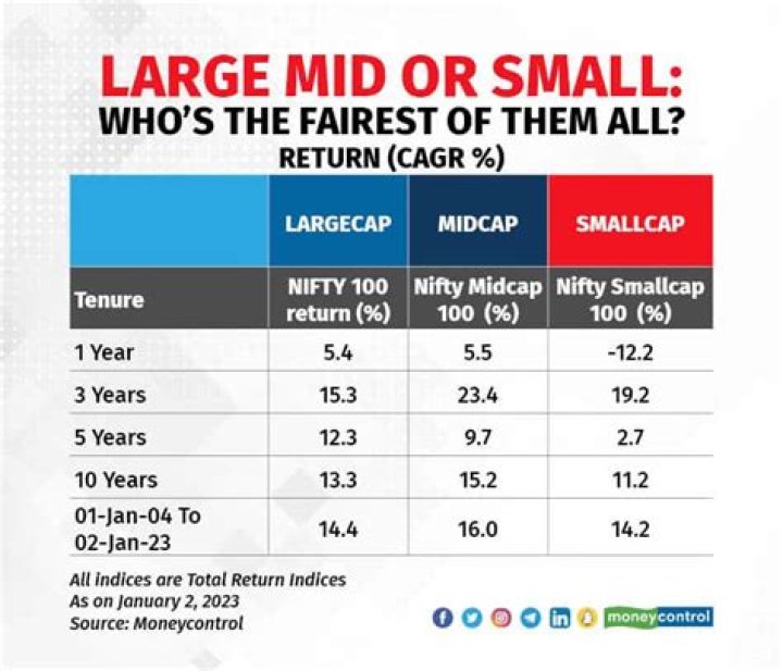 What is the difference between small firm and large firm?