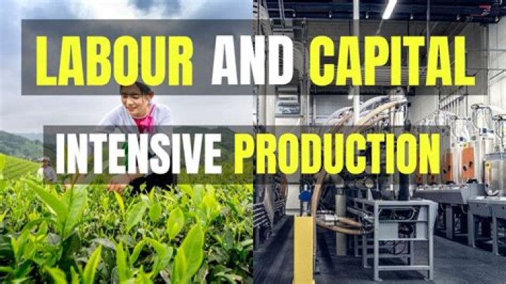 What is the use of capital intensive production?
