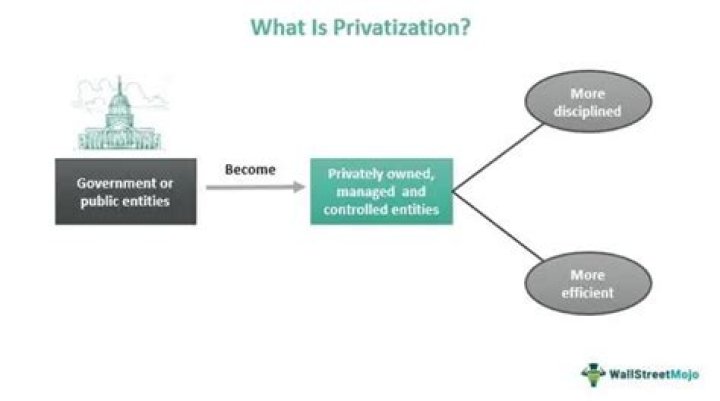 Why does the government privatize?